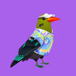 Crazy Crow #1267