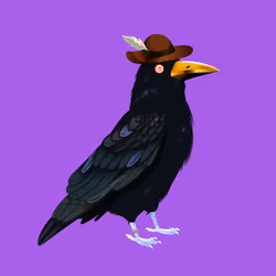 Crazy Crow #3335