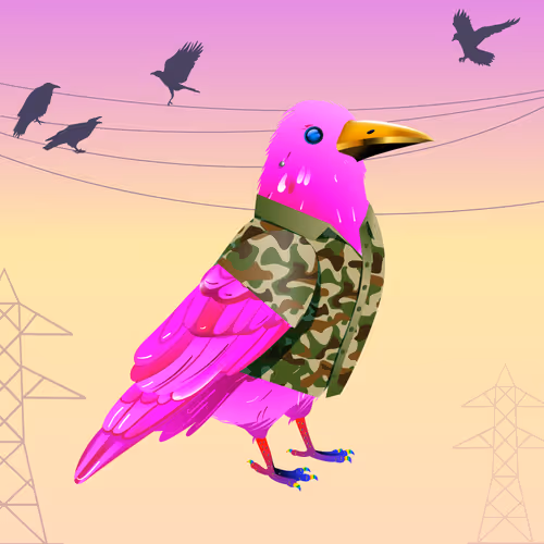 Crazy Crow #7864