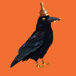 Crazy Crow #5726