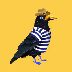 Crazy Crow #1677