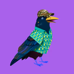 Crazy Crow #1166