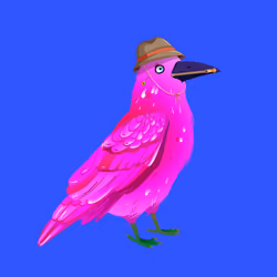 Crazy Crow #6755