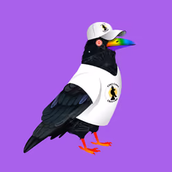 Crazy Crow #8019