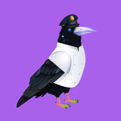 Crazy Crow #3065