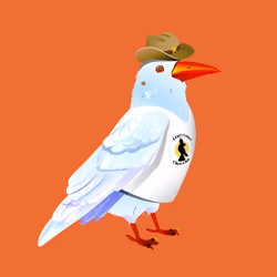 Crazy Crow #3073