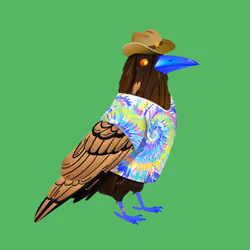 Crazy Crow #5114