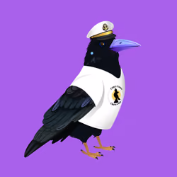 Crazy Crow #555
