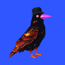 Crazy Crow #2241
