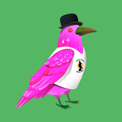 Crazy Crow #828