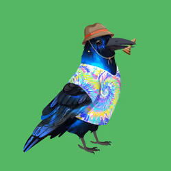 Crazy Crow #3539