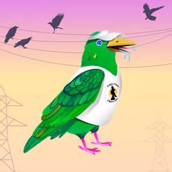 Crazy Crow #4573