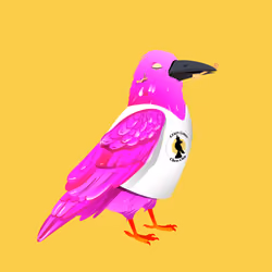 Crazy Crow #4328