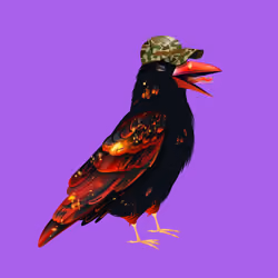 Crazy Crow #365