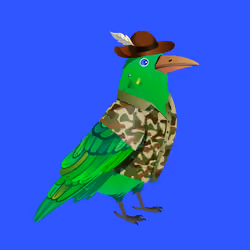 Crazy Crow #7157