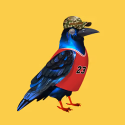 Crazy Crow #7512