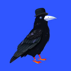 Crazy Crow #3528