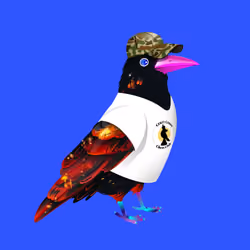 Crazy Crow #6949