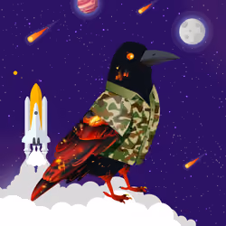 Crazy Crow #5955
