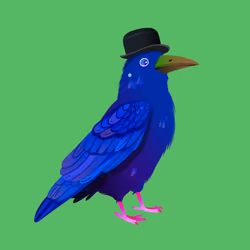 Crazy Crow #7911