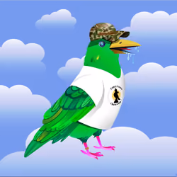 Crazy Crow #633