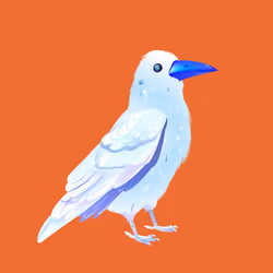 Crazy Crow #4537