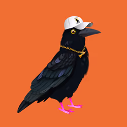 Crazy Crow #962