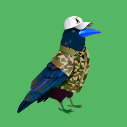 Crazy Crow #5714