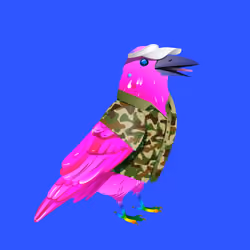 Crazy Crow #7648