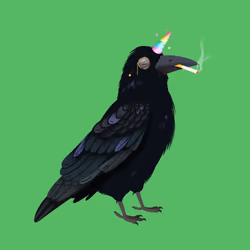 Crazy Crow #1879