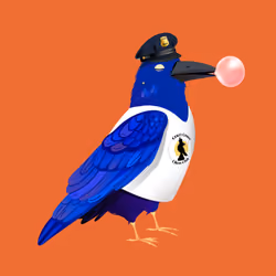 Crazy Crow #6415