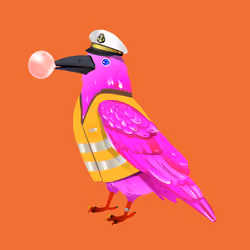 Crazy Crow #2342