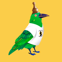 Crazy Crow #680