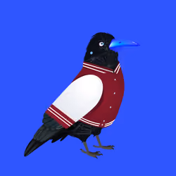 Crazy Crow #677