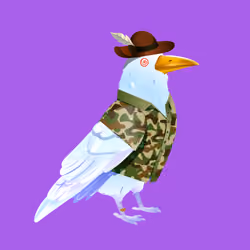 Crazy Crow #5073