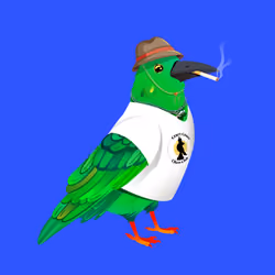 Crazy Crow #3072