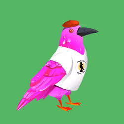 Crazy Crow #1882