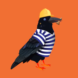 Crazy Crow #2242