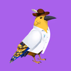 Crazy Crow #1301