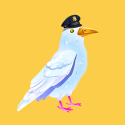 Crazy Crow #4669