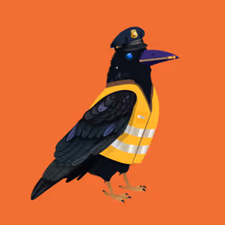 Crazy Crow #6814