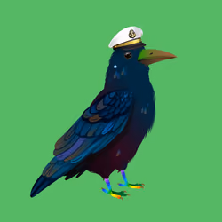 Crazy Crow #2659