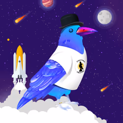 Crazy Crow #5821