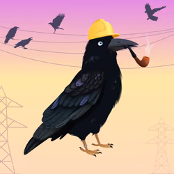 Crazy Crow #6412