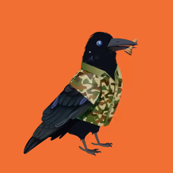 Crazy Crow #3693