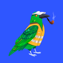 Crazy Crow #150