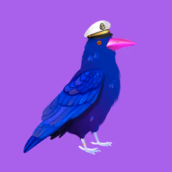 Crazy Crow #1299