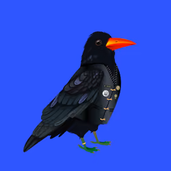 Crazy Crow #774