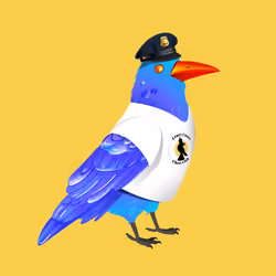 Crazy Crow #7290