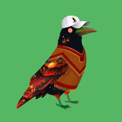 Crazy Crow #4551